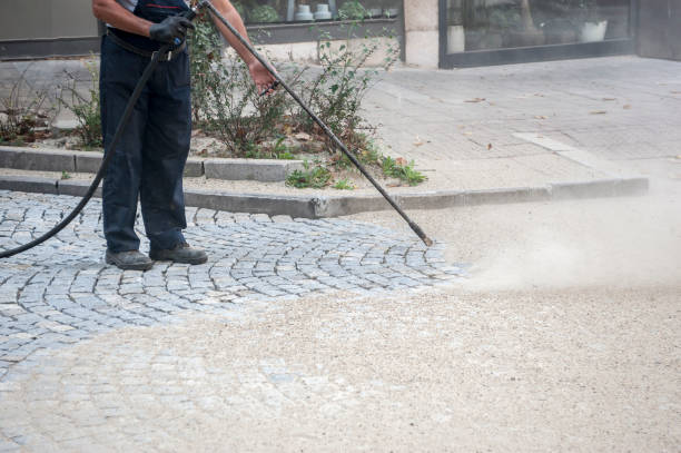 Best Dumpster Area Cleaning  in Ladera Heights, CA